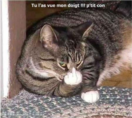 Ca c pour pa ktu less des kom a la kon lol