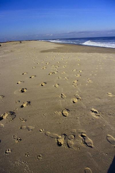 Des pas sur la plage