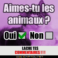 Wé wé ca pe allé...ca d pan d kel...é vou...donnez votr avi...!!!